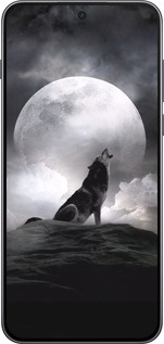 Силиконовый чехол Воющий волк для OnePlus Nord 5 5G - 934u-4133 изображение 