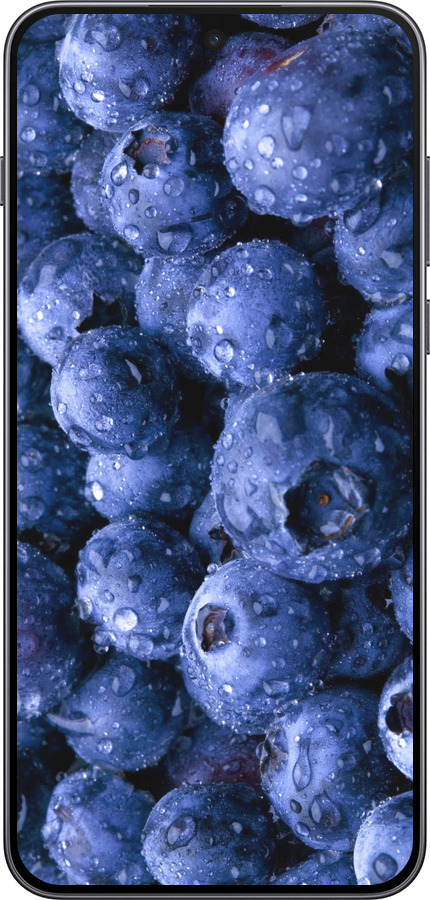 Силиконовый чехол Голубика для OnePlus Nord 5 5G - 4459u-4133 изображение 