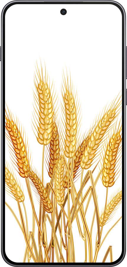 Силиконовый чехол Колоски пшеници для OnePlus Nord 5 5G - 5866u-4133 изображение 