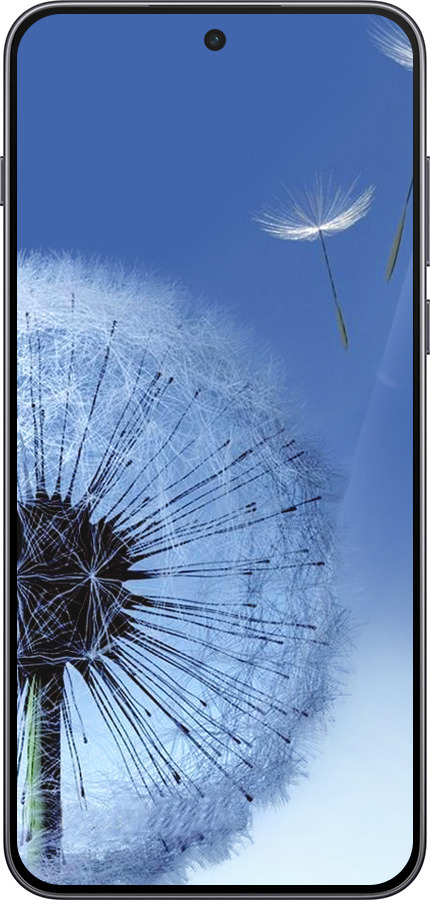 Силиконовый чехол Одуванчик для OnePlus Nord 5 5G - 6005u-4133 изображение 