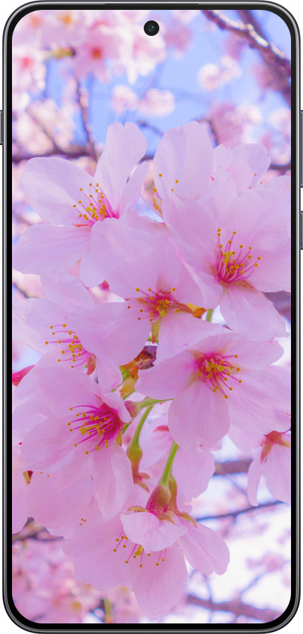 Силиконовый чехол Сакура для OnePlus Nord 5 5G - 6029u-4133 изображение 