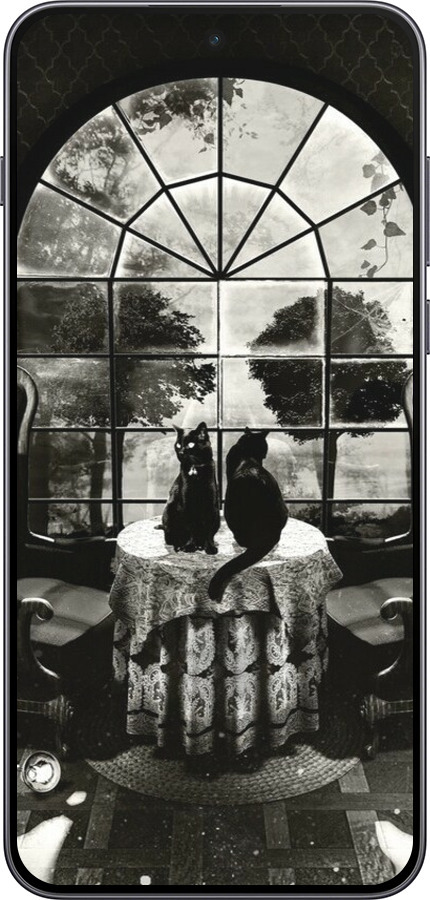 Силиконовый чехол Череп и коты для OnePlus Nord 5 5G - 6432u-4133 изображение 