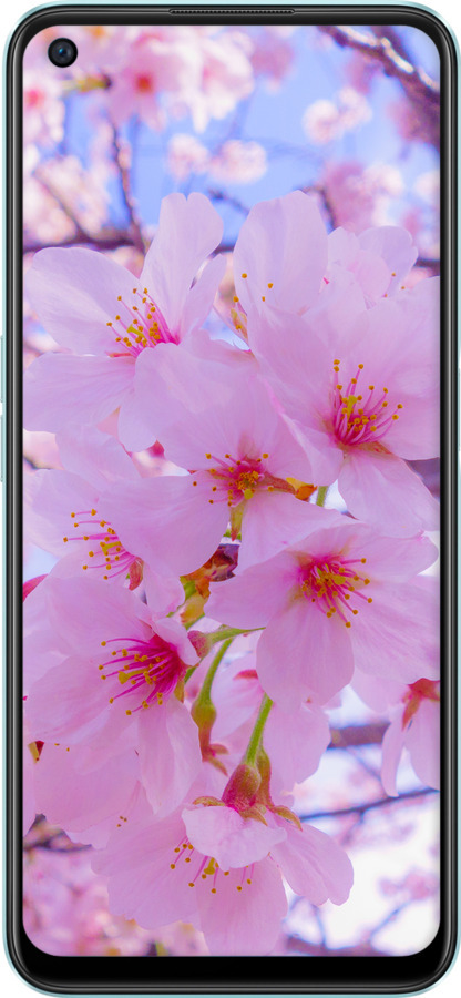 TPU чехол Сакура для OnePlus Nord CE 2 Lite - 6029b-2684 изображение 