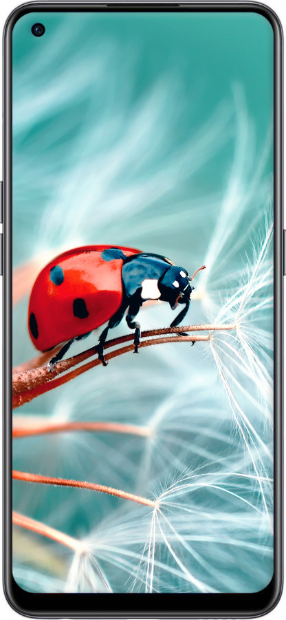Силиконовый чехол Божья коровка для OnePlus Nord CE 2 - 6049u-2589 изображение 