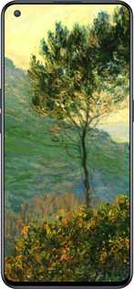 Силиконовый чехол Клод Моне для OnePlus Nord CE 5G/CORE Edition 5G - 1193u-3484 изображение 