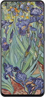 Силиконовый чехол Винсент Ван Гог. Ирисы для OnePlus Nord CE 5G/CORE Edition 5G - 161u-3484 изображение 