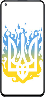 Силиконовый чехол Герб v1 для OnePlus Nord CE 5G/CORE Edition 5G - 5258u-3484 изображение 