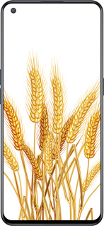 Силиконовый чехол Колоски пшеници для OnePlus Nord CE 5G/CORE Edition 5G - 5866u-3484 изображение 