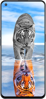 Силиконовый чехол Тигр для OnePlus Nord CE 5G/CORE Edition 5G - 6016u-3484 изображение 