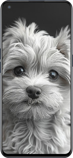 Силиконовый чехол Мальтипу на чорном фоне для OnePlus Nord CE 5G/CORE Edition 5G - 6156u-3484 изображение 