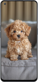 Силиконовый чехол Mini-maltipoo для OnePlus Nord CE 5G/CORE Edition 5G - 6158u-3484 изображение 