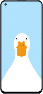 Силиконовый чехол Гусь для OnePlus Nord CE 5G/CORE Edition 5G - 6350u-3484 изображение 