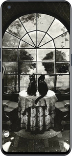 Силиконовый чехол Череп и коты для OnePlus Nord CE 5G/CORE Edition 5G - 6432u-3484 изображение 