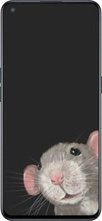 Силиконовый чехол The Peeking Rat для OnePlus Nord CE 5G/CORE Edition 5G - 6442u-3484 изображение 