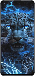 Силиконовый чехол Ледяной леопард для OnePlus Nord CE 5G/CORE Edition 5G - 6460u-3484 изображение 