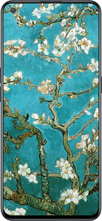 Силиконовый чехол Винсент Ван Гог. Сакура для OnePlus Nord CE 5G/CORE Edition 5G - 841u-3484 изображение 