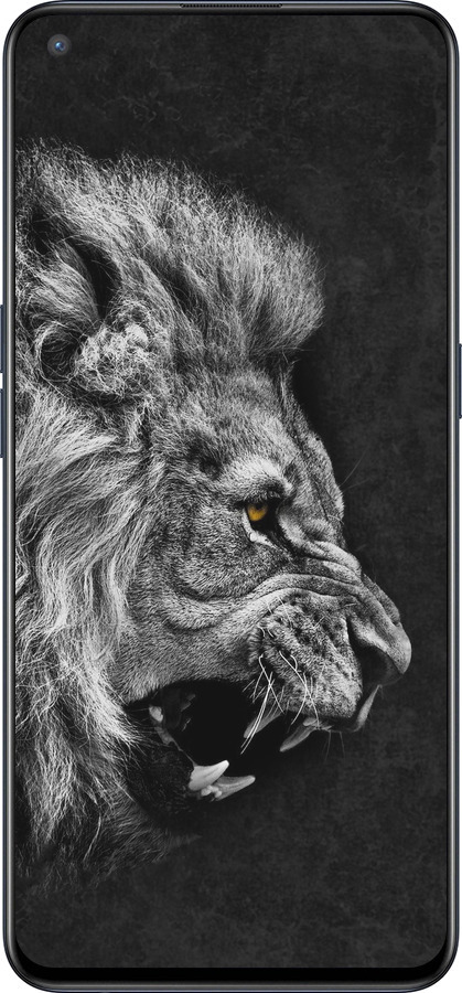 Силиконовый чехол Лев для OnePlus Nord CE 5G/CORE Edition 5G - 1080u-3484 изображение 