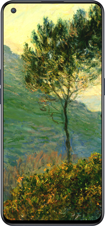 Силиконовый чехол Клод Моне для OnePlus Nord CE 5G/CORE Edition 5G - 1193u-3484 изображение 