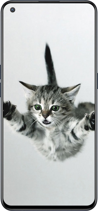 Силиконовый чехол Летящий котёнок для OnePlus Nord CE 5G/CORE Edition 5G - 2322u-3484 изображение 