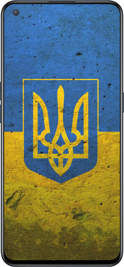 Силиконовый чехол Флаг и герб Украины 2 для OnePlus Nord CE 5G/CORE Edition 5G - 378u-3484 изображение 
