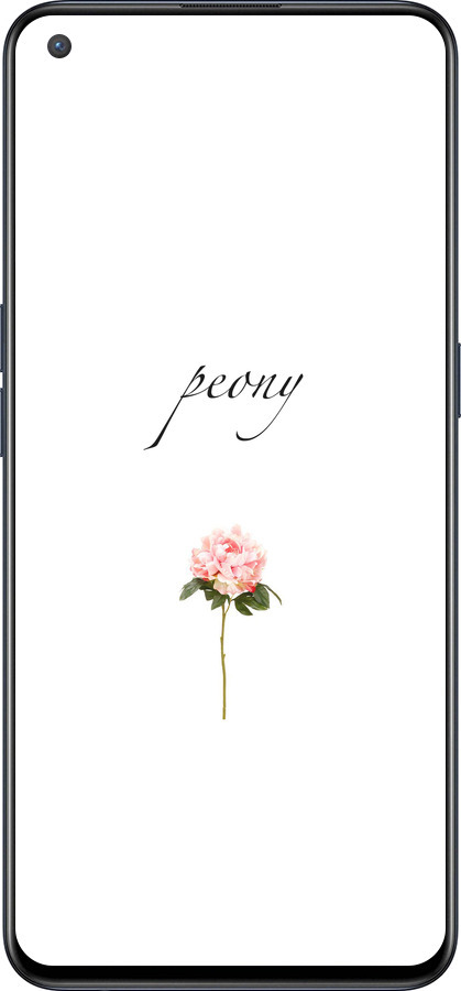 Силиконовый чехол Пион для OnePlus Nord CE 5G/CORE Edition 5G - 4366u-3484 изображение 