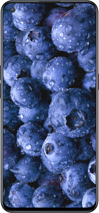 Силиконовый чехол Голубика для OnePlus Nord CE 5G/CORE Edition 5G - 4459u-3484 изображение 