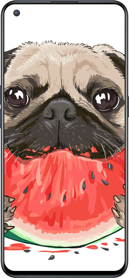 Силиконовый чехол Мопс и арбуз для OnePlus Nord CE 5G/CORE Edition 5G - 4665u-3484 изображение 