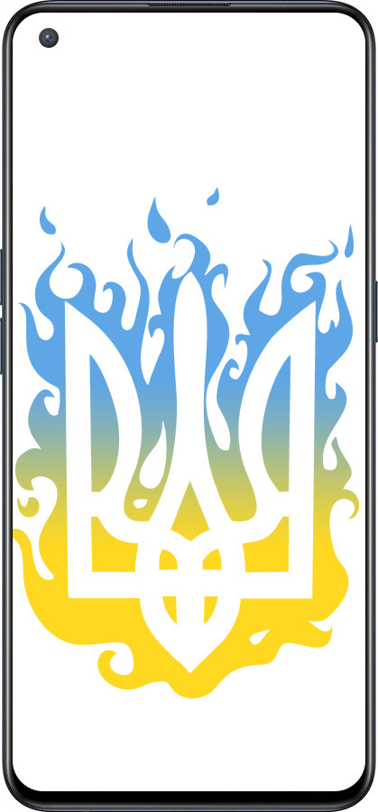 Силиконовый чехол Герб v1 для OnePlus Nord CE 5G/CORE Edition 5G - 5258u-3484 изображение 