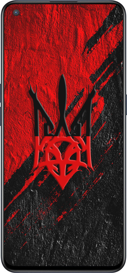 Силиконовый чехол Герб v4 для OnePlus Nord CE 5G/CORE Edition 5G - 5293u-3484 изображение 