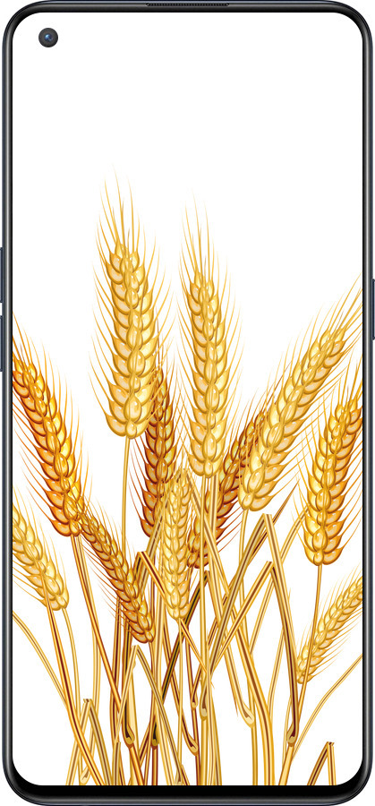 Силиконовый чехол Колоски пшеници для OnePlus Nord CE 5G/CORE Edition 5G - 5866u-3484 изображение 