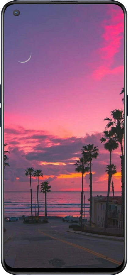 Силиконовый чехол Пальмы для OnePlus Nord CE 5G/CORE Edition 5G - 5873u-3484 изображение 