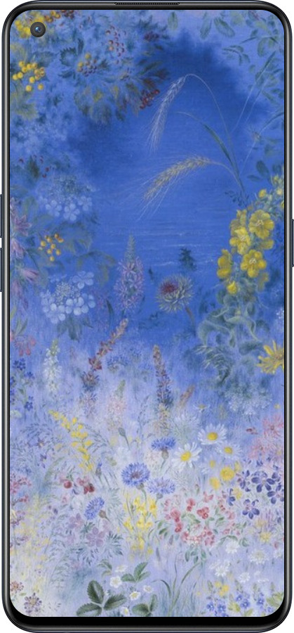 Силиконовый чехол Билокур для OnePlus Nord CE 5G/CORE Edition 5G - 5908u-3484 изображение 