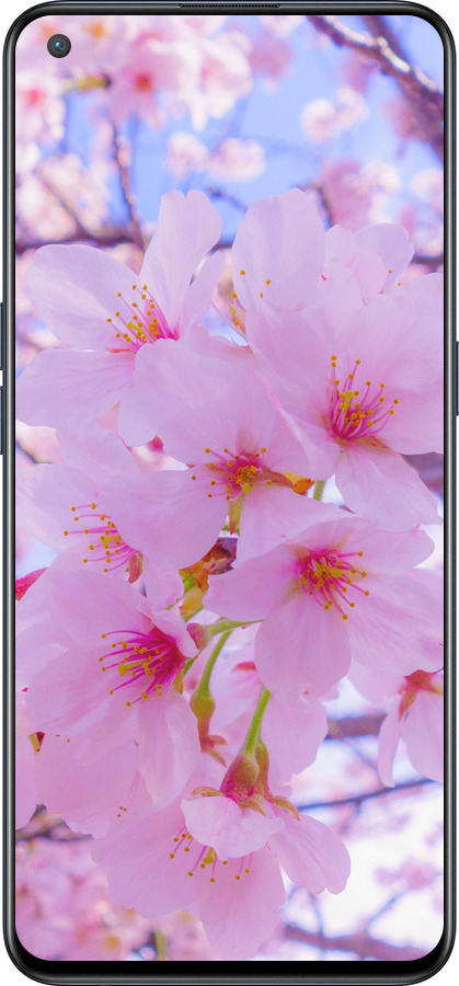 Силиконовый чехол Сакура для OnePlus Nord CE 5G/CORE Edition 5G - 6029u-3484 изображение 