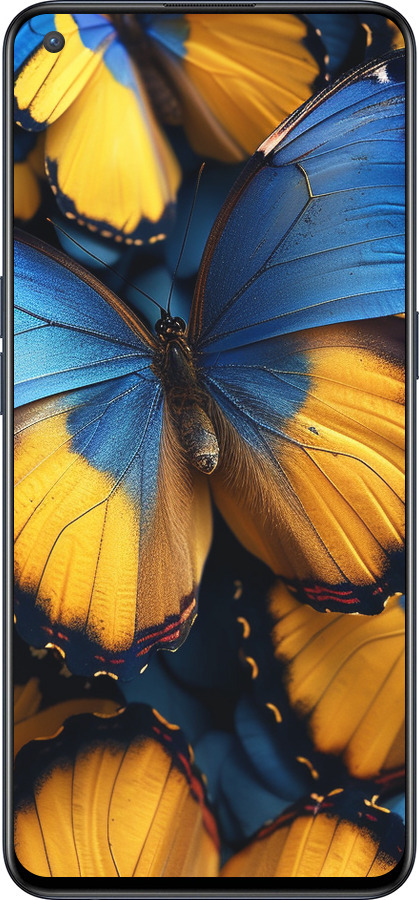 Силиконовый чехол Желто-голубые бабочки для OnePlus Nord CE 5G/CORE Edition 5G - 6046u-3484 изображение 