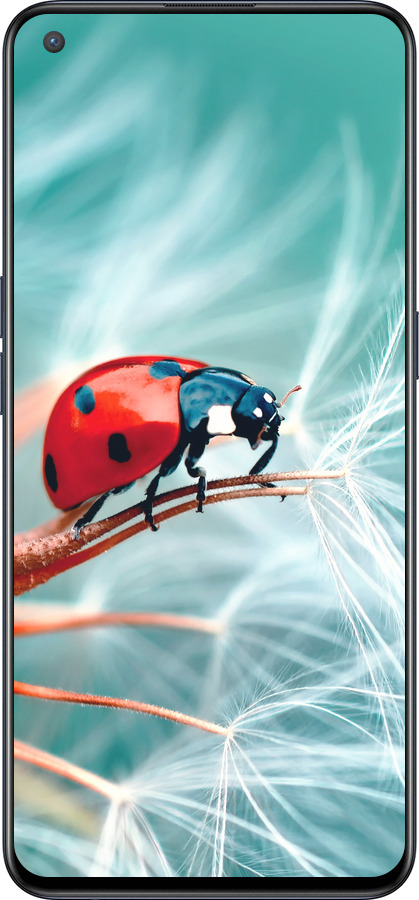 Силиконовый чехол Божья коровка для OnePlus Nord CE 5G/CORE Edition 5G - 6049u-3484 изображение 