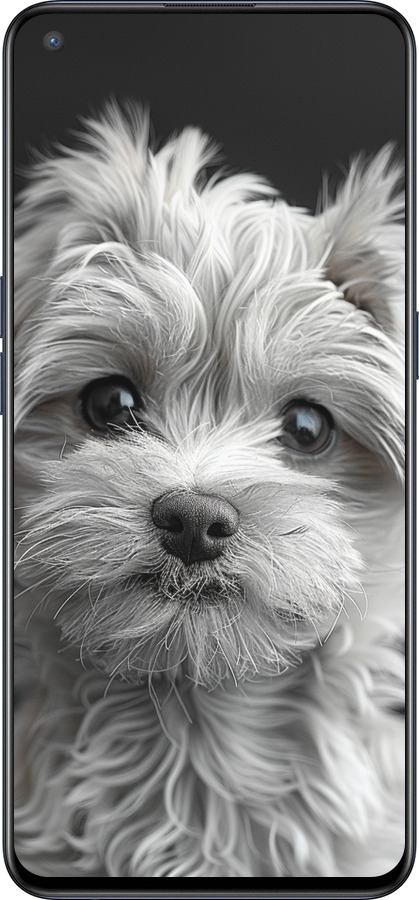 Силиконовый чехол Мальтипу на чорном фоне для OnePlus Nord CE 5G/CORE Edition 5G - 6156u-3484 изображение 