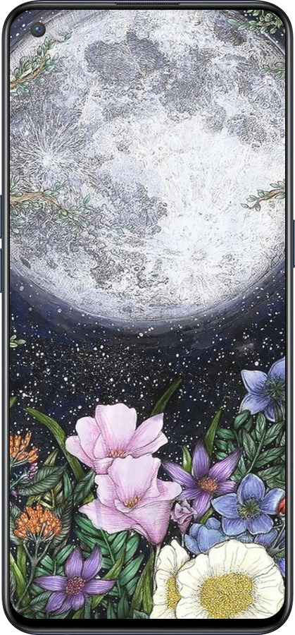 Силиконовый чехол Полночь в саду II для OnePlus Nord CE 5G/CORE Edition 5G - 6424u-3484 изображение 