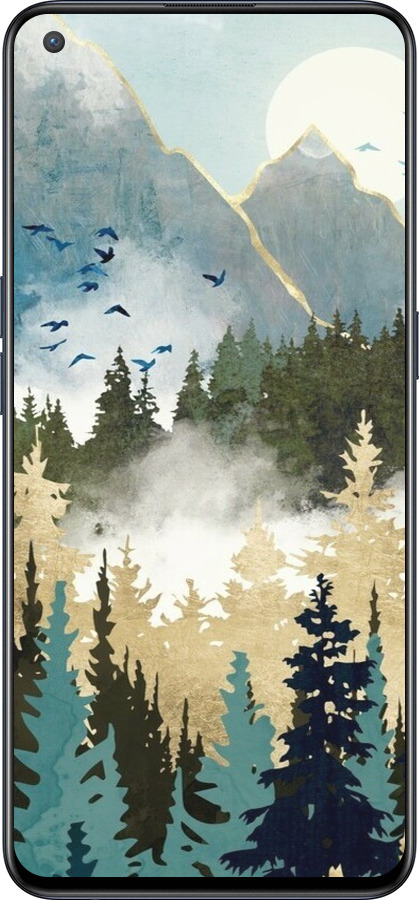 Силиконовый чехол С изображением лесного пейзажа для OnePlus Nord CE 5G/CORE Edition 5G - 6548u-3484 изображение 