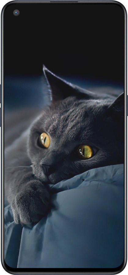 Силиконовый чехол Дымчатый кот для OnePlus Nord CE 5G/CORE Edition 5G - 825u-3484 изображение 