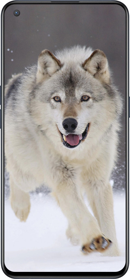 Силиконовый чехол Бегущий волк для OnePlus Nord CE 5G/CORE Edition 5G - 826u-3484 изображение 