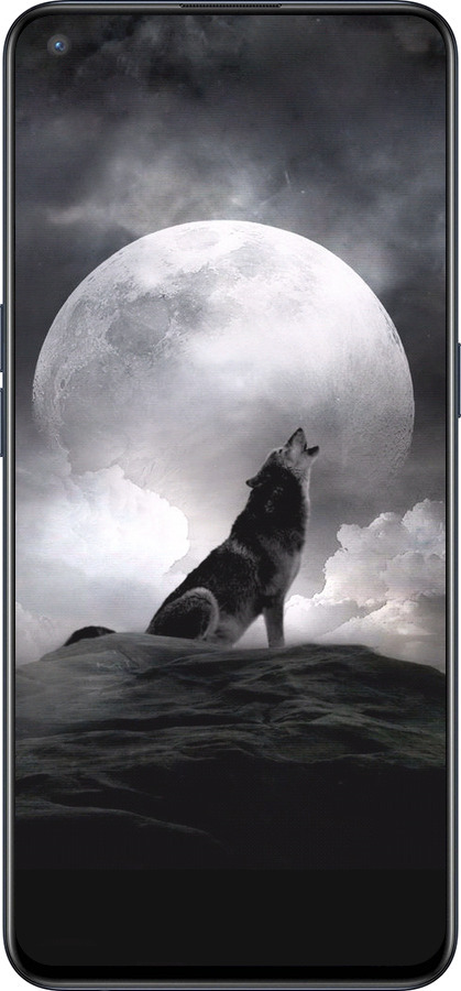 Силиконовый чехол Воющий волк для OnePlus Nord CE 5G/CORE Edition 5G - 934u-3484 изображение 