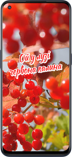 Силиконовый чехол Калина для OnePlus Nord N10 5G - 5454u-3655 изображение 