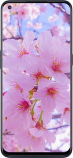 Силиконовый чехол Сакура для OnePlus Nord N10 5G - 6029u-3655 изображение 