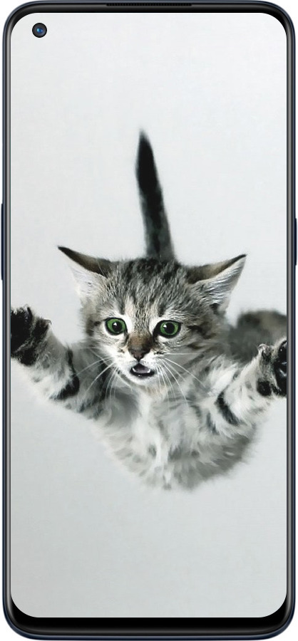 Силиконовый чехол Летящий котёнок для OnePlus Nord N10 5G - 2322u-3655 изображение 
