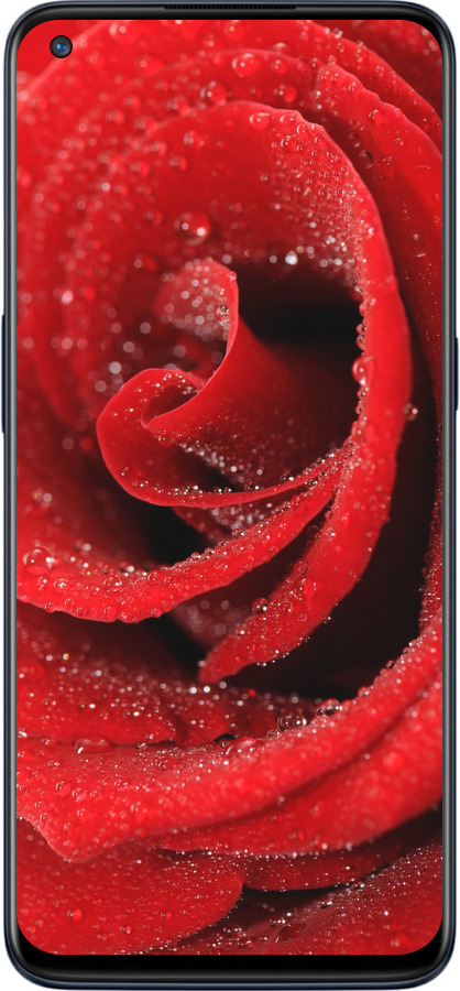 Силиконовый чехол Красная роза для OnePlus Nord N10 5G - 529u-3655 изображение 