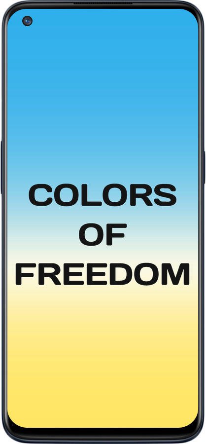 Силиконовый чехол Colors of Freedom для OnePlus Nord N10 5G - 5453u-3655 изображение 