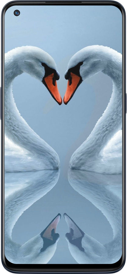 Силиконовый чехол Лебеди для OnePlus Nord N10 5G - 6007u-3655 изображение 