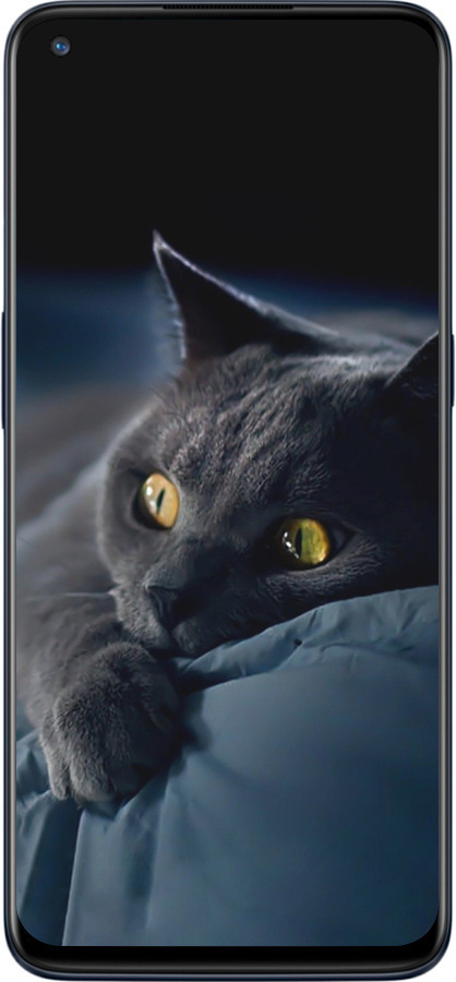 Силиконовый чехол Дымчатый кот для OnePlus Nord N10 5G - 825u-3655 изображение 