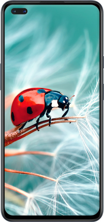 Силиконовый чехол Божья коровка для OnePlus Nord - 6049u-2046 изображение 