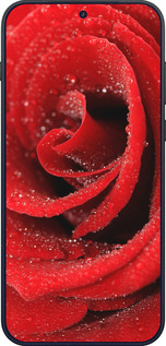 Силиконовый чехол Красная роза для OnePlus OnePlus 15 - 529u-4186 изображение 